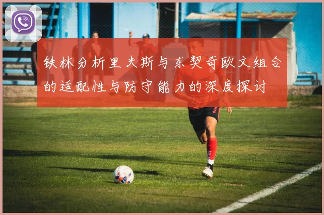 铁林分析里夫斯与东契奇欧文组合的适配性与防守能力的深度探讨