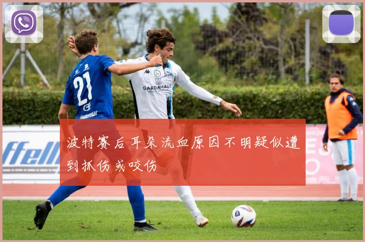 波特赛后耳朵流血原因不明疑似遭到抓伤或咬伤